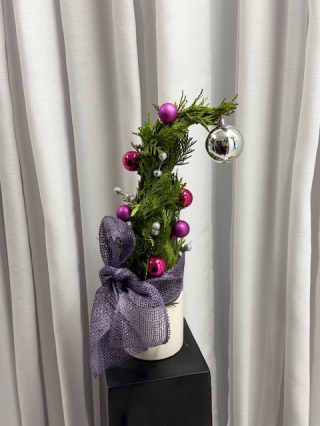 Little Miss Lou = $ 50.00