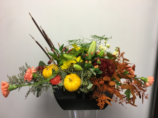 Spectacular Autumn Haze  $ 150.00