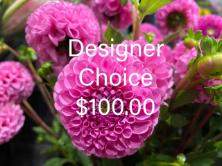 DESIGNER CHOICE $ 100.00