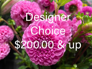 DESIGNER CHOICE $ 200.00 & UP